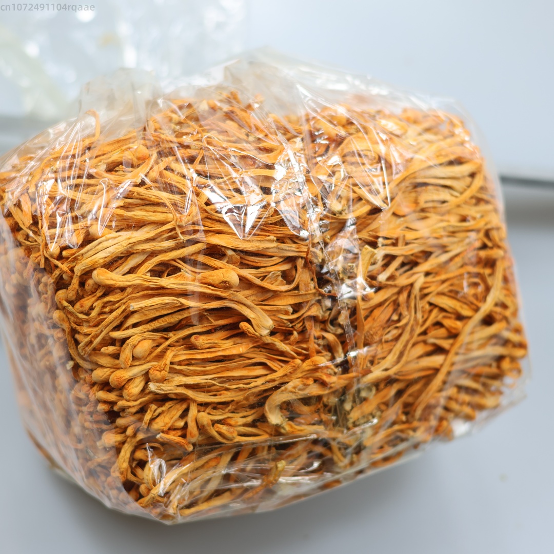 Candle Making Uk - Flor de Cordyceps seca Natural Premium,
