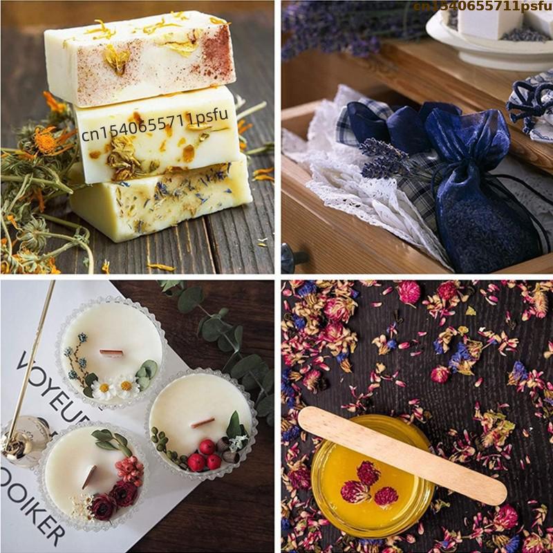 4 tipos de capullos de rosa na - Candle Making Uk reseña y precio