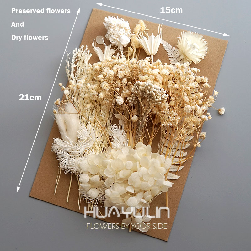 1 paquete de plantas artificia - Candle Making Diy reseña y precio